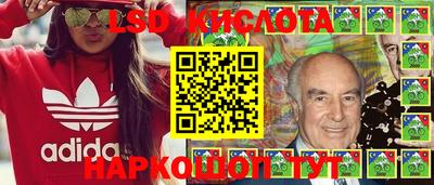 шишки Обь