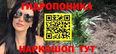 шишки Обь