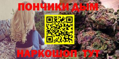 шишки Обь