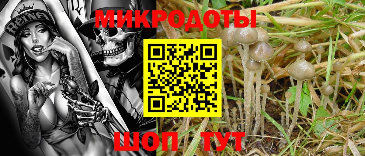 где можно купить   Галлюциногенные грибы Psilocybe  Вход с VPN  Волоколамск 