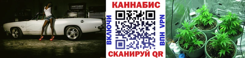 Бошки Шишки OG Kush  Волоколамск 